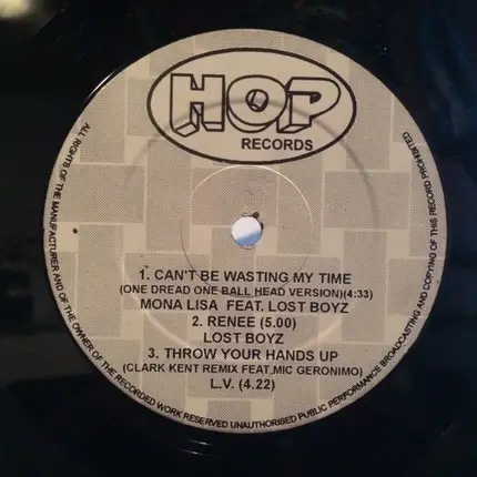 Hip Hop Sampler - Hop 011