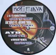 Hip Hop Sampler - Hot Flava Vol. 02