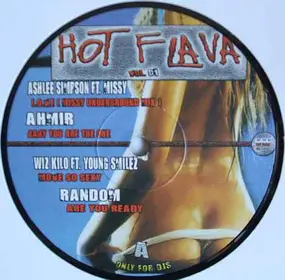 Random - Hot Flava Vol. 1