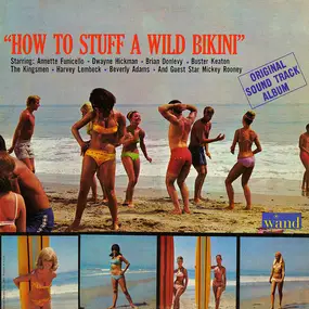 Various Artists - How To Stuff A Wild Bikini