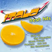 Eiffel 65 - Italo Fresh Hits 2000