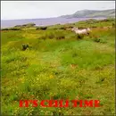 CD - Shaskeen / Gallowglass Ceili Band a.o. - It's Céilí Time Volume 2