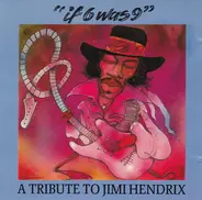 Thin White Rope, David Dreams, Giant Sand a.o. - If 6 Was 9 - A Tribute To Jimi Hendrix