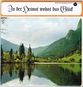 Various Artists - In Der Heimat Wohnt Das Glück