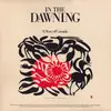 Double LP - Bill Misener,Marc Jordan a.o. - In The Dawning: A Story Of Canada