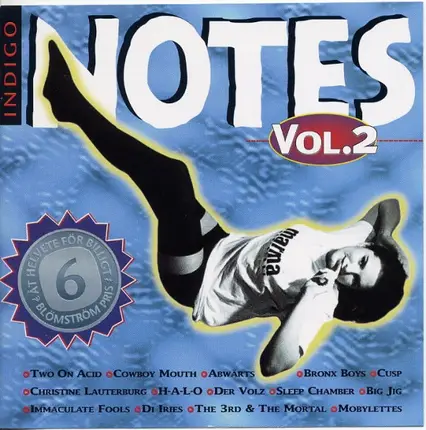 Two On Acid, Cusp a.o. - Indigo Notes  Vol. 2