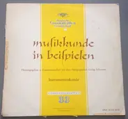 Musikkunde in Beispielen - Instrumentenkunde