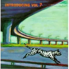 Various Artists - Introducing 7