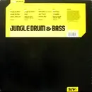 12inch Vinyl Single - Various - Jungle Drum & Bass - No cover