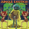 Double LP - Various - Jungle Exotica Vol.1 - DELUXE GATEFOLD EDITION, TONS OF EXTRA CUTS
