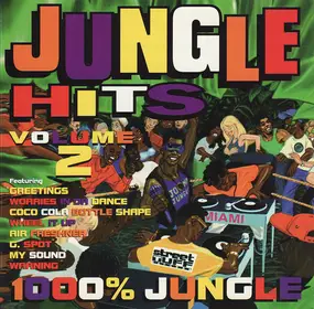 Various Artists - Jungle Hits Volume 2
