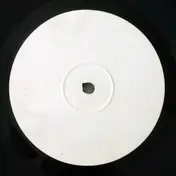 Ini Kamoze - Junglism Sampler