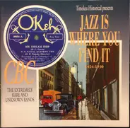 Blue Ribbon Syncopators, George Warmack a.o. - Jazz Is Where You Find It 1924-1930