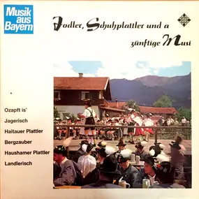 Various Artists - Jodler, Schuhplattler Und A Zünftige Musi