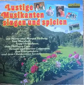 Various Artists - Lustige Musikanten Singen Und Spielen