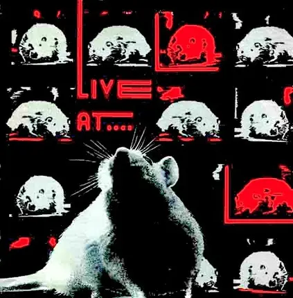 Third Rail, Susan, The Real Kids - Live At The Rat