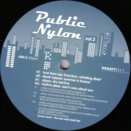 Atjazz, Derek Hyland a.o. - Public Nylon Vol. 2
