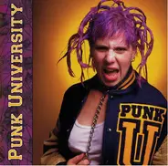 Suicidal Tendencies / Buzzcocks / The Ramones a.o. - Punk University Vol. 1