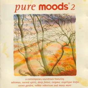 Adiemus - Pure Moods 2