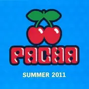 Alex Gaudino - Pacha Summer 2011
