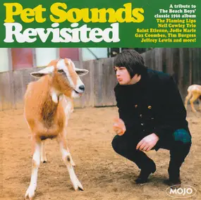 Saint Etienne - Pet Sounds Revisited (A Tribute To The Beach Boys' Classic 1966 Album)