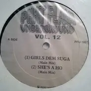 Dancehall Sampler - Phat Flava Underground ‎Vol. 12