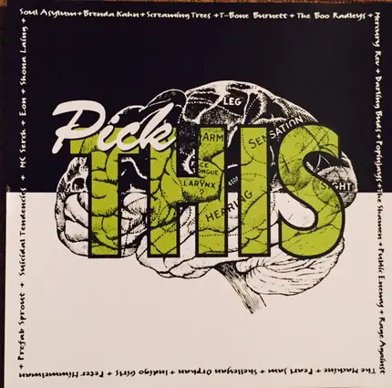Mercury Rev, Public Enemy, Rage Against The Machine a.o. - Pick This