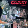 LP - Dave Travis, Little Maggie, a.o. - Piknik Country - Mrągowo 89