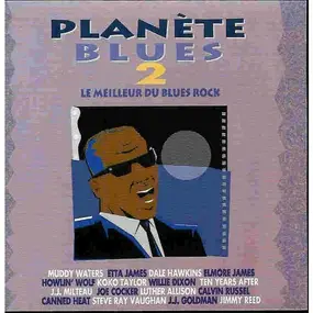 Muddy Waters - Planete Blues 2