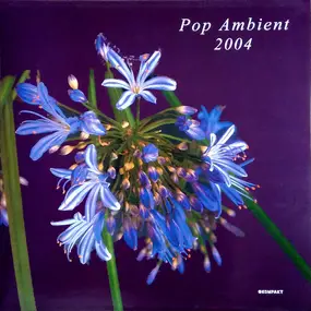 Klimek - Pop Ambient 2004