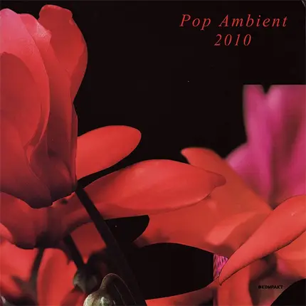 Triola, The Orb, a.o. - Pop Ambient 2010