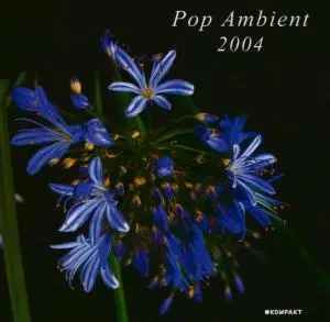 Various - Pop Ambient 2004