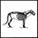 CD - The Decemberists, TW Walsh, Work Clothes - Preserve Volume One - Digisleeve