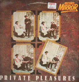 Graham Parker - Private Pleasures