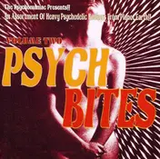 Zappatta Schmidt - Psych Bites Volume Two