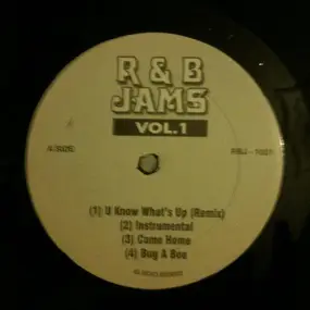 The Unknown - R&B Jams Vol.1
