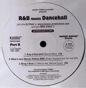 Various Artists - R&B Meets Dancehall Part 8