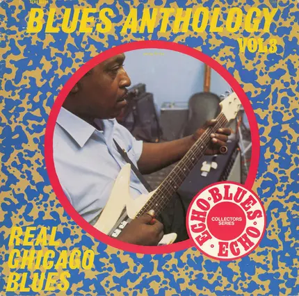 Johnny Shines / Honeyboy Edwards / Walter Horton a.o. - Real Chicago Blues