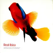 Wamdue Project, Big Muff, Sperstars of Rock, a.o. - Real Ibiza