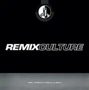 2 x 12inch Vinyl Single - DMC Sampler - Remix Culture 151