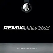 2 x 12inch Vinyl Single - Dakeyne, Powertribe, Junior Vasquez, a.o. - Remix Culture 164 - Booklets