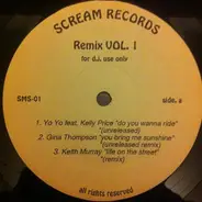 Hip Hop Sampler - Remix Vol. 1