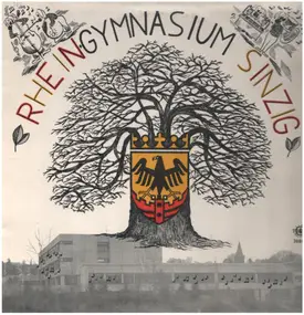 Various Artists - Rhein Gymnasium Sinzig