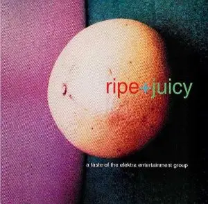 Tad,Jerry Lee Lewis,The Dentists,a.o - Ripe+Juicy A Taste Of The Elektra Entertainment Group