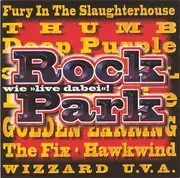 Double CD - Fury In The Slaughterhouse / Ike & Tina Turner a.o. - Rock Park