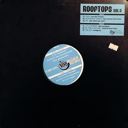 Loon / Dr. Dre / Ice Cube / a.o. - Rooftops Vol. 5