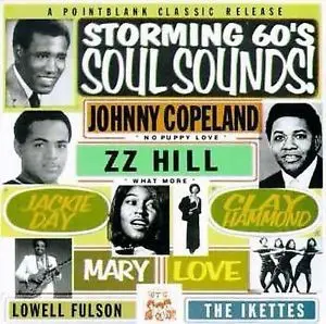 Ike & Tina Turner, Peggy Woods, Jackie Day... - Storming 60's Soul Sounds