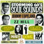 CD - Ike & Tina Turner, Peggy Woods, Jackie Day... - Storming 60's Soul Sounds