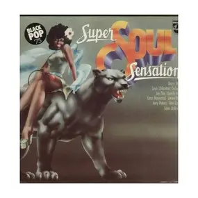 Barry White - Super Soul Sensation