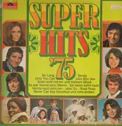 Gloria Gaynor, Bata Illic, Ireen Sheer, Freddy, Abba a.o. - Super Hits '75